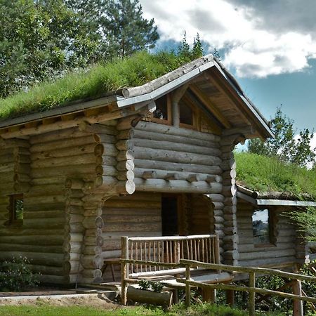 La Cabane De Hans Saint-Martial-de-Gimel Exterior photo