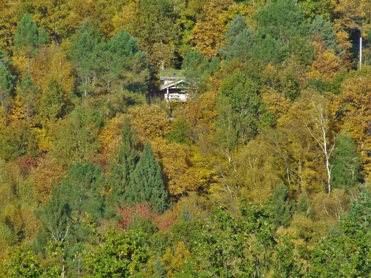 La Cabane De Hans Saint-Martial-de-Gimel Exterior photo